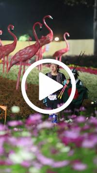 BIB:  <button type="button" onclick="openModal(27590998)" class="btn btn-primary btn-sm float-right" data-toggle="modal" data-target=".modal-high-quality">
                <i class="fa fa-download"></i> Download
                </button>